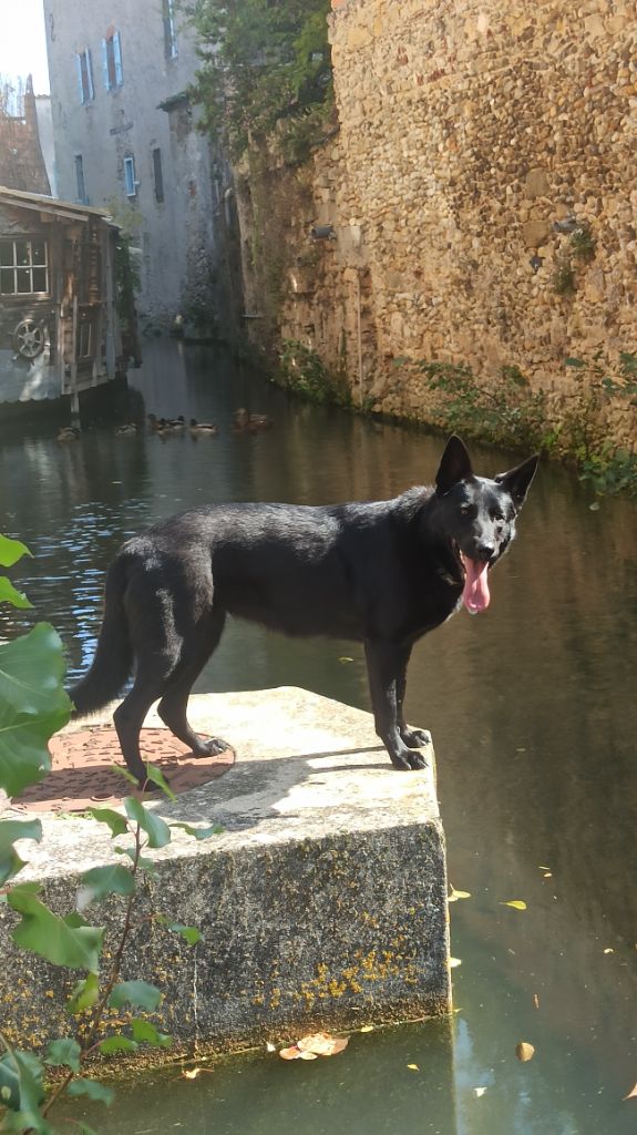 De L'Univers D'Aïda Sana