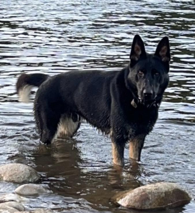 Etalon de la portée 2025 : Spike de l'âme d'un gardien